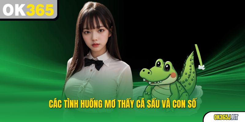 Các tình huống mơ thấy cá sấu và con số